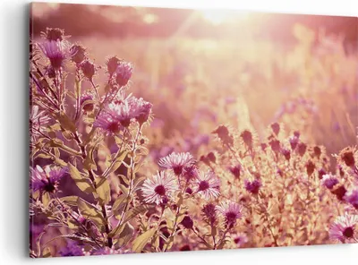 Produktbild von Bild auf Leinwand - Leinwandbild - Einteilig - Wiese Blumen Sonne - 100x70cm - Wand Bild - Wanddeko - Wandbilder - Leinwanddruck - Bilder - Wanddekoration - Leinwand bilder - Wandbild - AA100x70-4819