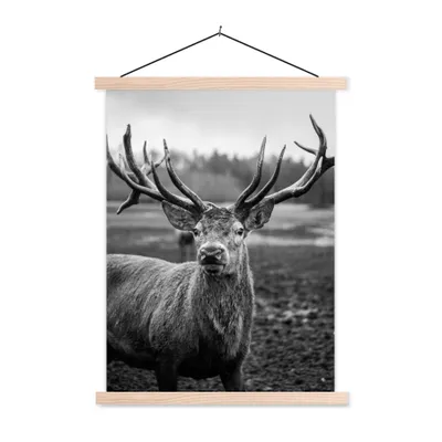 Produktbild von MuchoWow® Textilposter Tiere - Hirsch - Geweih - Schwarz und weiß - Natur 40x53 cm mit holzfarbenen Rahmen - Schlafzimmer