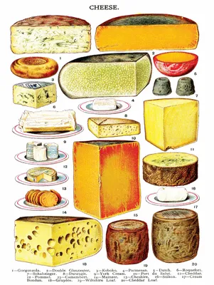 Immagine prodotto di New York Puzzle Company - Puzzle "Formaggio" XXL - 500 pezzi