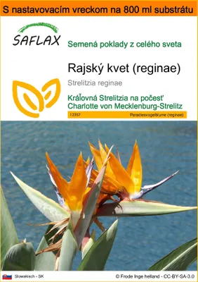 Obrázok produktu pre SAFLAX Garden in the bag - rajský kvet (reginae) - Strelitzia reginae - 5 Semená - S pestovateľským substrátom v praktickom samostaviteľnom vrecku