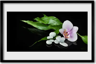 Produktbild von Bild 60x40 MDF-Rahmen Wandkunst Blumen Steine ​​Blätter