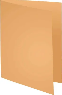 Produktbild von EXACOMPTA Aktendeckel SUPER 250 DIN A4 chamois 100 Aktendeckel