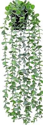 Produktbild von Set mit 1 künstlichen Pflanzen zum Aufhängen, künstliche Hängepflanzen, künstliche künstliche Efeu-Pflanzen im Topf für den Hausgarten, Wanddekoration,Eukalyptus hängend hellgrün sprühweiß