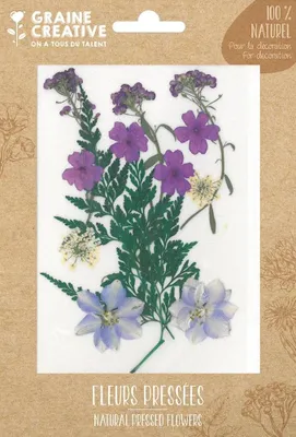 Produktbild von Graine Creative getrocknete Blumen Dekoration Purple Meadow 13 Stück