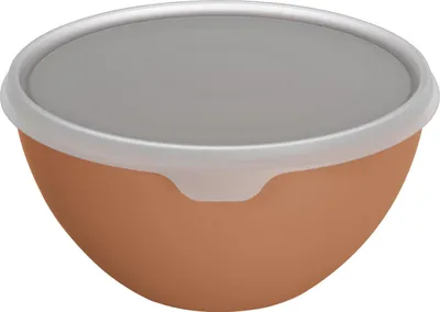 Produktbild von Rotho Schüssel + Deckel Caruba 3 L coral clay