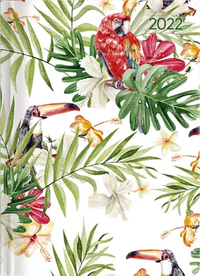 Produktbild von Ladytimer Jungle 2022 - Dschungel - Taschenkalender A6 (11x15 cm)