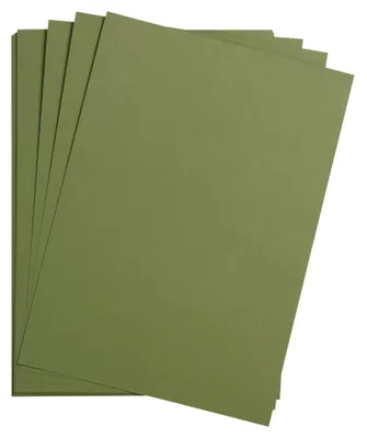 Zdjęcie produktu dla Clairefontaine, karton fotograficzny, format A2, 25 arkuszy, gramatura 270g, kolor zielony (Laubgrün)