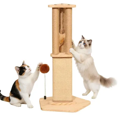 Productafbeelding van Krabpaal voor Katten van 67 cm