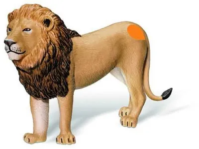 Produktbild von Tiptoi Spielfiguren Löwenmännchen