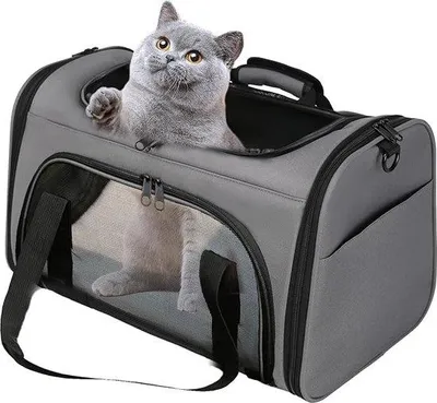 Immagine prodotto di Trasportino per piccoli animali domestici, gatti, cani, conigli, taglia piccola
