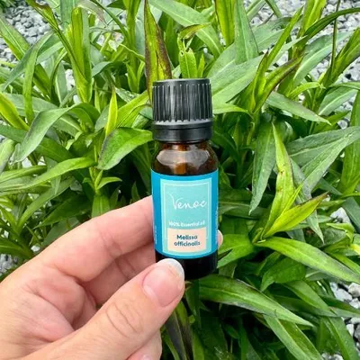 Produktbild von Ätherisches Öl aus Zitronenmelisse von Venoc, 10 ml
