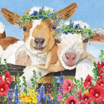Produktbild von Servietten 33x33 cm - Gary & Gracie