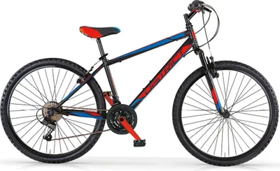 Produktbild von MBM Mountainbike District  26 Zoll Herren