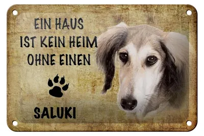 Produktbild von Blechschild Spruch 18x12cm Saluki Hund ohne kein Heim