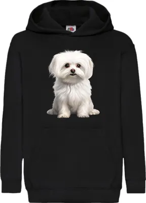 Zdjęcie produktu dla Dziecięca Bluza Z Kapturem Dogs Breeds Maltese Dog Breed 006, 9-11 Jahr - 140 / Czarny