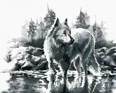 Produktbild von Zuty - Malen nach Zahlen - WEISSER WOLF, 40x50 cm, mit Keilrahmen (bereits gespannt)