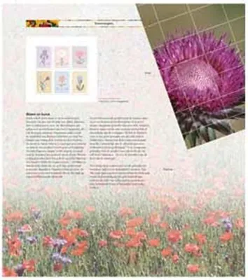 Produktbild von DAVO 954 Luxus Nachtrag Niederlande illustriert '14