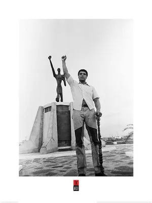 Produktbild von Pyramid International PPR40834, 1 Stück(e), Muhammad Ali, Rechteck