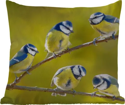 Produktbild von MuchoWow® Outdoor Kissen - Vogel - Blaumeise - Äste - Sonne - 45x45 cm - Wetterfest - Lounge Kissen - Fotokissen - Dekoratives Kissen