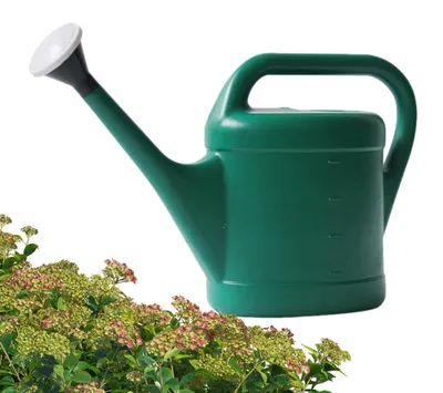 Imagen del producto de Regadera para interior y exterior