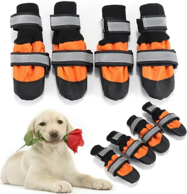 Productafbeelding van 4 stuks waterdichte regenkappen/schoenen voor huisdieren (honden), warm, antislip, schoenovertrekken. - Maat S