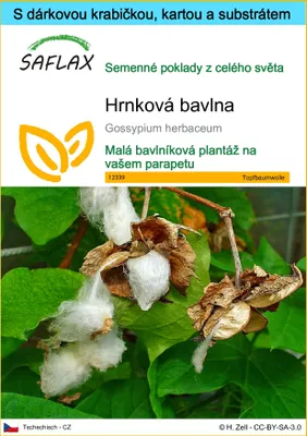 Obrázek produktu pro SAFLAX Dárková sada - hrnková bavlna - Gossypium herbaceum - 12 Semena - S dárkovou krabičkou, přepravním štítkem, dárkovou kartou a pěstebním médiem