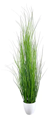Produktbild von Kunstpflanze Gras, GRASBUSCH im weißen Topf. Ca 90 cm. TOPF WEISS.