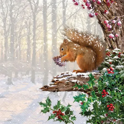 Produktbild von 20 Servietten Squirrel in Tree - Eichhörnchen im Winterbaum 33x33cm