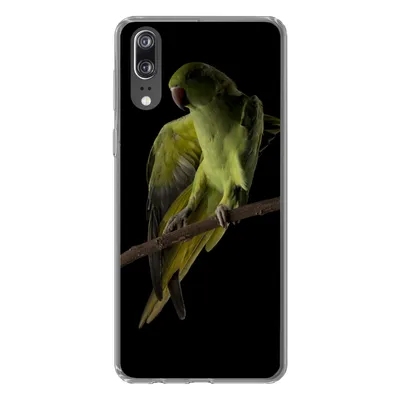 Produktbild von MuchoWow® Handyhülle Schutzhülle Hülle für Huawei P20 Papagei - Vogel - Zweig Silikon Softcase Handy Hülle
