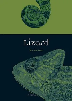 Obrázok produktu pre Lizard