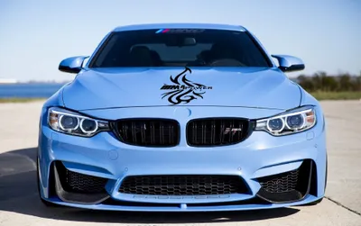 Obrázok produktu pre Samolepka s motívom pre kapotu automobilu