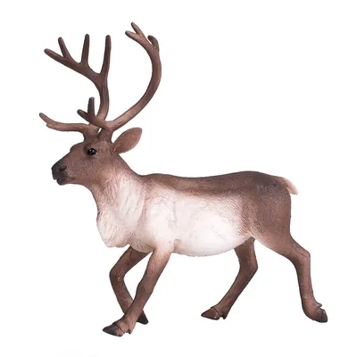 Image de Mojo Wildlife - Cerf (modèle 387186)
