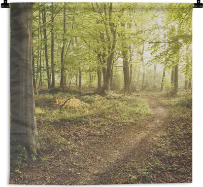 Produktbild von MuchoWow® Wandteppich Wandbehang Wald - Weg - Sonnenaufgang 120x120 cm Tapisserie Dekoration Wandtuch - Modern - Baumwollgewebe