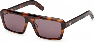 Produktbild von Adidas Originals OR0133 Dark havana 55/17/145 Uni Sonnenbrillen