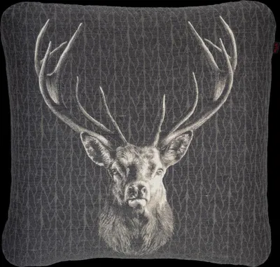 Produktbild von M.I.G. home Kissen Klaus Farbe 001 anthr. Größe 45x45cm