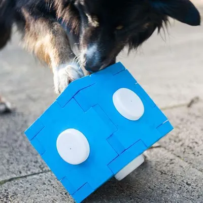 Produktbild von Dog Agility Schnüffel-Cube