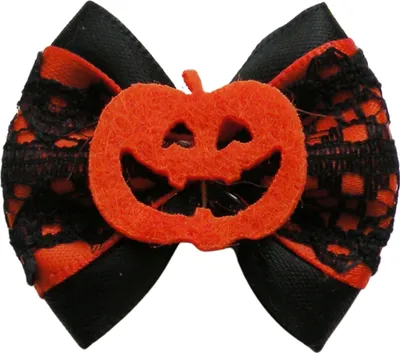 Produktbild von PETSTORY Halloween Hundehaargummi mit Kürbismotiv