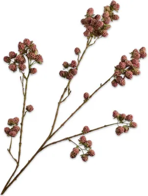 Produktbild von Silk-ka Künstliche Blume - Seidenblume - Fruchtzweig Brombeeren Seide Lachsrosa 107cm