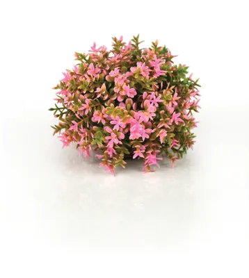 Produktbild von biOrb Blumenball pink (46088)