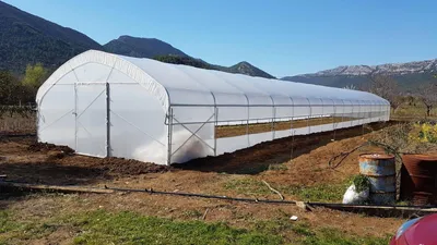 Immagine prodotto di Serra 6×20 m – serra professionale con ventilazione laterale, 2 porte, telo UV e struttura rinforzata
