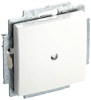 Immagine prodotto di BUSCH-JAEGER piastra centrale cieca 2538-914, bianco alpino, bilanciamento-SI