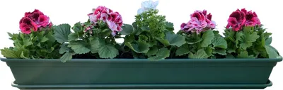 Image de Bac à fleurs Balcon Bac à plantes Vert avec système d'arrosage et soucoupe pour bac à fleurs 100cm