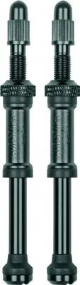 Image de Valve de remplacement AIRSPY TL 81 mm
