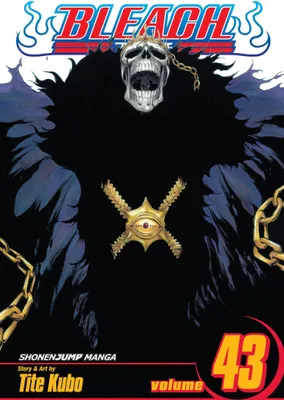 Produktbild von Bleach, Vol. 43