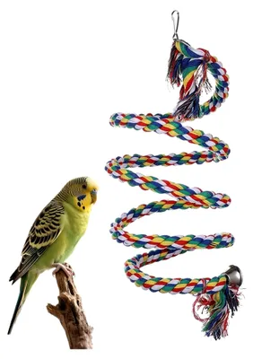 Produktbild von Vogel Kletterseil mit Sitzstange, Bissfestes Buntes Schaukelzubehör für Haustiere