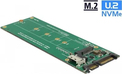 Produktbild von DeLOCK 63953, M.2, SAS, SATA, 145 mm, 51 mm, 9 mm, SAS