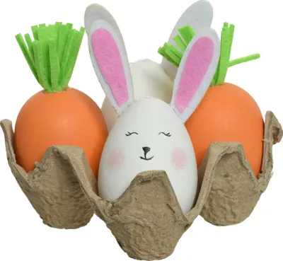 Produktbild von Ostereier Hase und Karotten im Eierkarton 11x18cm weiß / orange