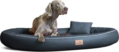Produktbild von tierlando® Orthopädisches Hundebett GILBERT ORTHO Soft LATEX Velours Kunstleder - Größe: 85x65cm | Farbe: 02 Graphit
