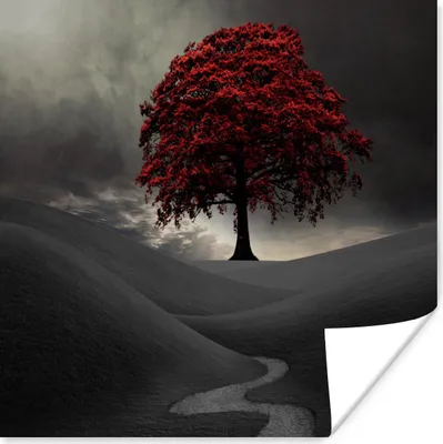 Produktbild von MuchoWow® Poster Ein Schwarz-Weiß-Foto mit einem großen roten Baum 100x100 cm - Babyzimmer