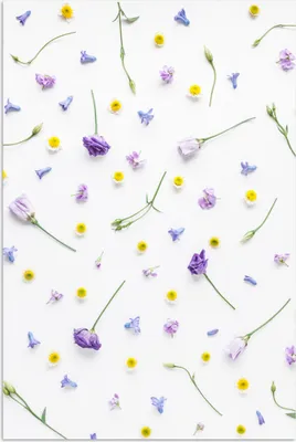 Produktbild von MuchoWow® Poster Blumen - Lila - Gelb 40x60 cm - Plakate für die Wand - Poster Babyzimmer